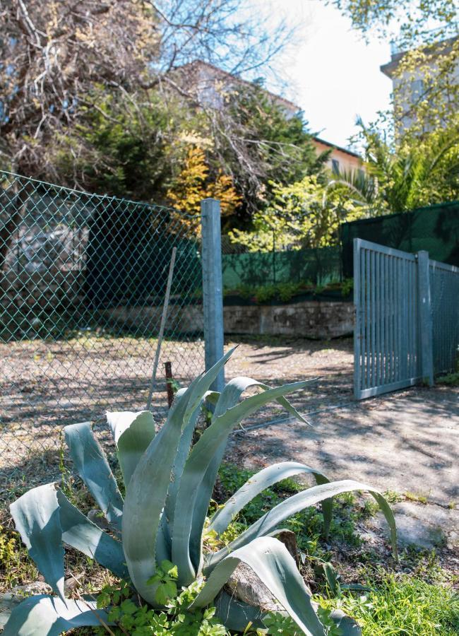 Casa Di Ulisse Vista Mare-free Parking-wi-fi * San Felice Circeo
