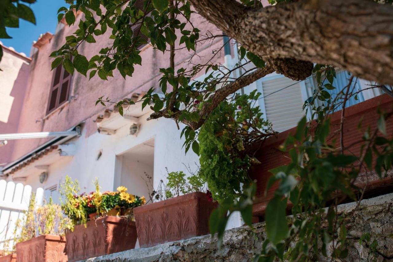 Apartment Casa Di Ulisse Vista Mare-free Parking-wi-fi